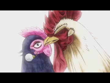 ニワトリ・ファイター　3羽　三鳥出網
