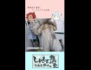 【#10】40秒で分かる「しれもん旅行記=東海道歩破編=」Part10