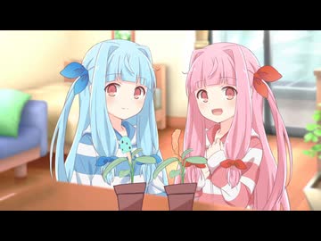 プレゼントは苗木【琴葉茜・葵誕生祭2026】