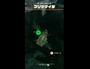 【ティアキン】ニプシヨウタの根付近のフリザゲイラ ゼルダの伝説ティアーズオブザキングダム