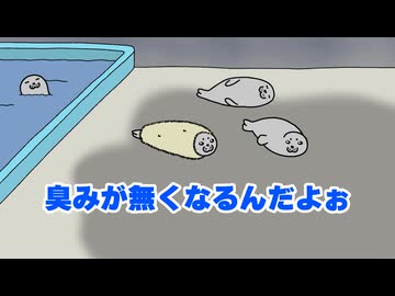 あざらし
