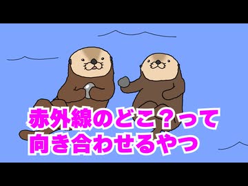 ラッコ