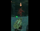 【ティアキン】ツカジタの根付近のライネル ゼルダの伝説ティアーズオブザキングダム