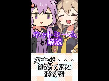ゆかつむネットミーム解説【ガキが・・・舐めてると潰すぞ】