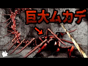 【Idols of Ash】和訳付き！超巨大ムカデから逃げながら古代の穴を進め