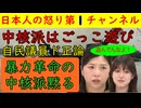 【中核派が自民議員に「ごっこ遊びだろ？」で撃沈される】自民党の門議員が中核派の矢嶋らをお説教し完全論破するが何も言い返せず/暴力革命という絵空事で自己陶酔に浸る