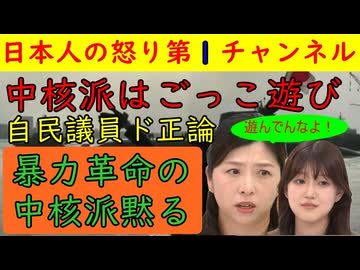 【中核派が自民議員に「ごっこ遊びだろ？」で撃沈される】自民党の門議員が中核派の矢嶋らをお説教し完全論破するが何も言い返せず/暴力革命という絵空事で自己陶酔に浸る