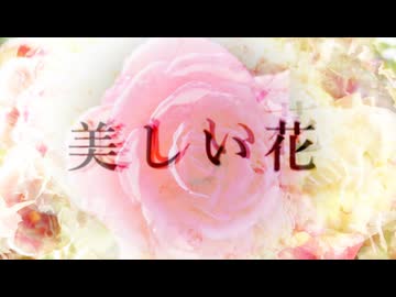 美しい花 / リク feat. 知声