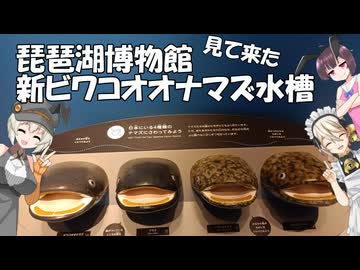 琵琶湖博物館、新ビワコオオナマズ水槽