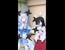 夢見るうさぎ【ボイボ劇場切り抜き】