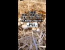 日高屋「外国人材停止なら日本人取るしかない」→人手不足じゃないの？
