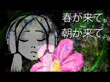 春が来て。朝が来て。 feat. Mai｜桜の定点映像