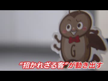 1匹見たら100匹！？ 本格始動前の『今』がゴキブリ対策のラストチャンス！ 古い段ボールは即処分　専門家が伝授する3つのポイント