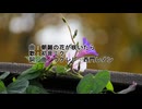 朝顔の花が咲いたら／西門レノン feat. 初音ミク