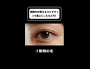 超能力が使えるコンタクト1つ選ぶならどれ？