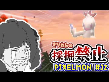 【Minecraft】きりたんの採掘禁止Pixelmon #12【VOICEROID実況】