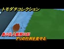 トモダチコレクション　アリの行列を見守る　島の住人観察日記　＃２１　【トモコレわくわく生活】