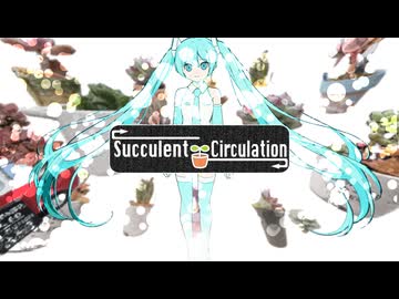 サキュレント∞サーキュレー ション / Tsurara feat.初音ミク