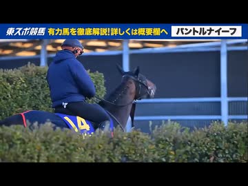 皐月賞出走予定馬のフォトパドック