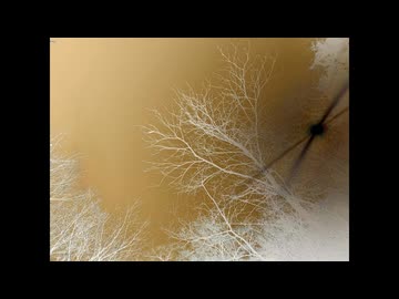 言い返せないね。／Hirue feat.初音ミク