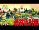 数十時間かけて緑豊かになったキラキラ浮き島を見てくれ【ぽこあポケモン】#26