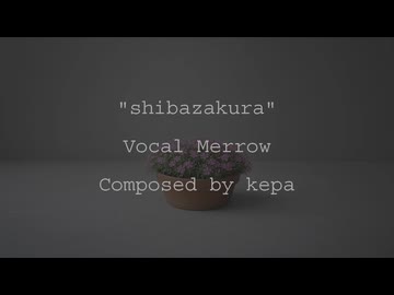 shibazakura　/　めろう