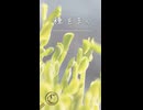 種をまく / Chaosseeker ft.知声