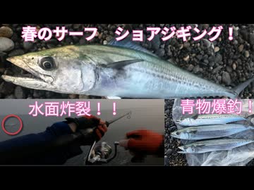 【サーフ 春のショアジギング】北陸サーフで春の青物爆釣！！　VOICEROIDフィッシング　ずんだもん＆四国めたん