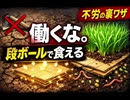 【終末の知恵】耕すな！段ボール一枚で「不労食糧」の拠点を作る裏技　とりあえず韮から　ベランダで試して　成功したらベース基地にも　これで7年後生存率若干高まった　#アーバンサバイバル