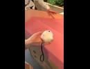 大阪万博ドイツパビリオン　サーキュラー返却