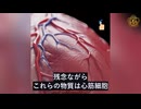 研究により　mRNAワクチンは長期遺伝異常を引き起こす