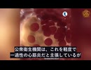 研究により　mRNAワクチンは長期遺伝異常を引き起こす