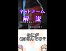ゆかつむネットミーム解説【なにが始まるんです？】