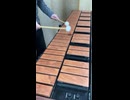 Marimba/Xylosynth Improvisaton #01