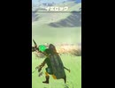 【ティアキン】ヒガッカレ平原のイエロック ゼルダの伝説ティアーズオブザキングダム