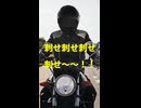 刺せ刺せ刺せ刺せ～～！！/重音テトSV