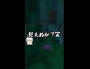 【ネタバレ注意】脱獄編【ドラクエ11S】