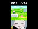 初心者すぎるカービィ