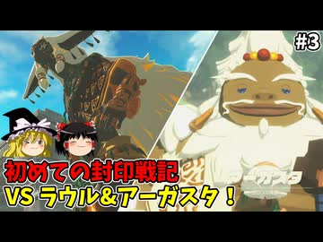 アーガスタ登場！ 初めての封印戦記！part3【ゼルダ無双 封印戦記】【ゆっくり実況】
