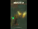 【ティアキン】ミナッカレ平原の雷電グリオーク ゼルダの伝説ティアーズオブザキングダム