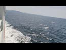 大日本帝国連合艦隊カラー映像！日本海軍連合艦隊乙型駆逐艦（防空駆逐艦）一等駆逐艦・秋月型【新月】の第二次世界大戦当時の乗組員の気分になれるカラーフィルム！大日本帝国海軍WW2当時の太平洋戦争カラー映像