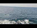 大日本帝国連合艦隊カラー映像！日本海軍連合艦隊乙型駆逐艦（防空駆逐艦）一等駆逐艦・秋月型【宵月】の第二次世界大戦当時の乗組員の気分になれるカラーフィルム！大日本帝国海軍WW2当時の太平洋戦争カラー映像