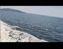 大日本帝国連合艦隊カラー映像！日本海軍連合艦隊丁型駆逐艦（戦時量産型駆逐艦）一等駆逐艦松型【楢】の第二次世界大戦当時の乗組員の気分になれるカラーフィルム！大日本帝国海軍WW2当時の太平洋戦争カラー映像