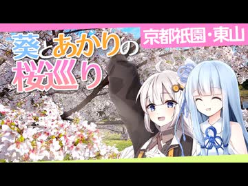 京都祇園の桜をぶらりと巡る、葵とあかりの旅行記。【ソフトウェアトーク旅行】