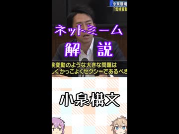 ゆかつむネットミーム解説【小泉構文】