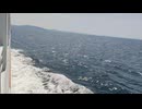 大日本帝国連合艦隊カラー映像！日本海軍連合艦隊丁型駆逐艦（戦時量産型駆逐艦）一等駆逐艦 橘型・改松型【菫】の第二次世界大戦当時の乗組員の気分になれるカラーフィルム！海軍WW2当時の太平洋戦争カラー映像