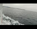 大日本帝国連合艦隊カラー映像！日本海軍連合艦隊丁型駆逐艦（戦時量産型駆逐艦）一等駆逐艦 橘型改松型【雄竹】の第二次世界大戦当時の乗組員の気分になれるカラーフィルム！海軍WW2当時の太平洋戦争カラー映像