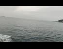 大日本帝国連合艦隊カラー映像！日本海軍連合艦隊二等駆逐艦 樅型【樅】の第二次世界大戦当時の乗組員の気分になれるカラーフィルム！海軍WW2当時の太平洋戦争カラー映像