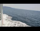 大日本帝国連合艦隊カラー映像！日本海軍連合艦隊二等駆逐艦 樅型【菊】の第二次世界大戦当時の乗組員の気分になれるカラーフィルム！海軍WW2当時の太平洋戦争カラー映像