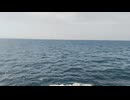 大日本帝国連合艦隊カラー映像！日本海軍連合艦隊二等駆逐艦 樅型【梨】の第二次世界大戦当時の乗組員の気分になれるカラーフィルム！海軍WW2当時の太平洋戦争カラー映像